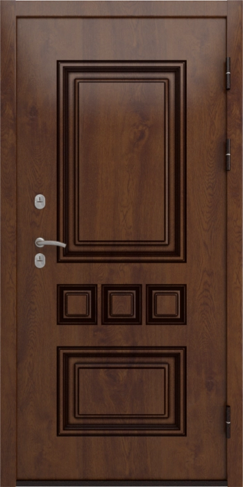 Входная дверь Аура ФЛ-700 (10мм, ясень грей) внешняя сторона